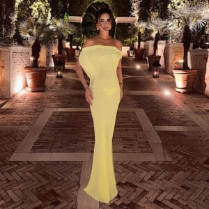 Spring  Sheer Mesh Design  Dress