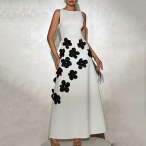 Elegant High Grade Dress
